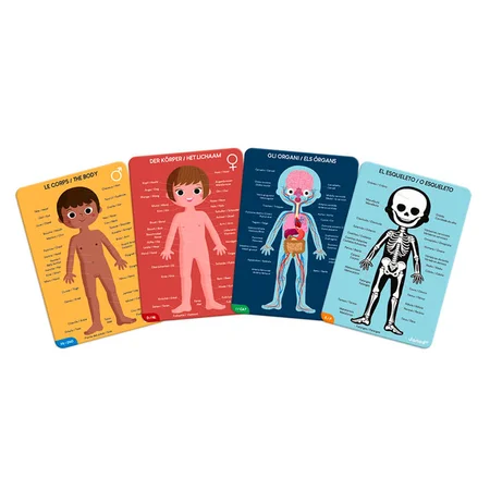Janod puslespil, menneskekroppen