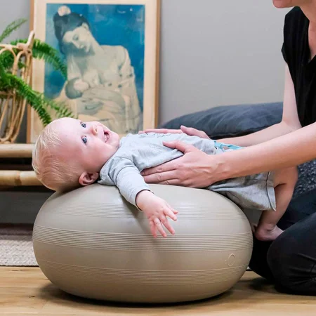 bObles donut, Walnut