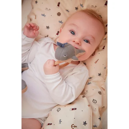 Filibabba rangle, Willie the whale grey