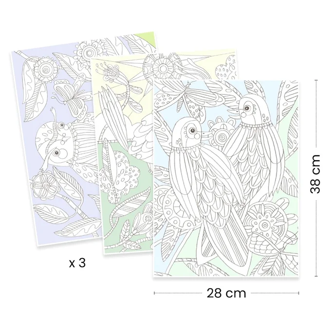 Djeco farvelæg, galleri fugle