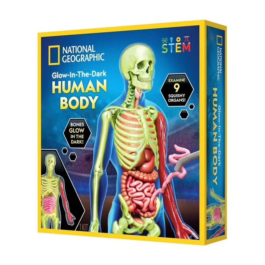 National Geographic videnskab, menneskekroppen