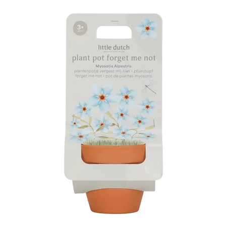 Little Dutch Potte med frø, forglem mig ej