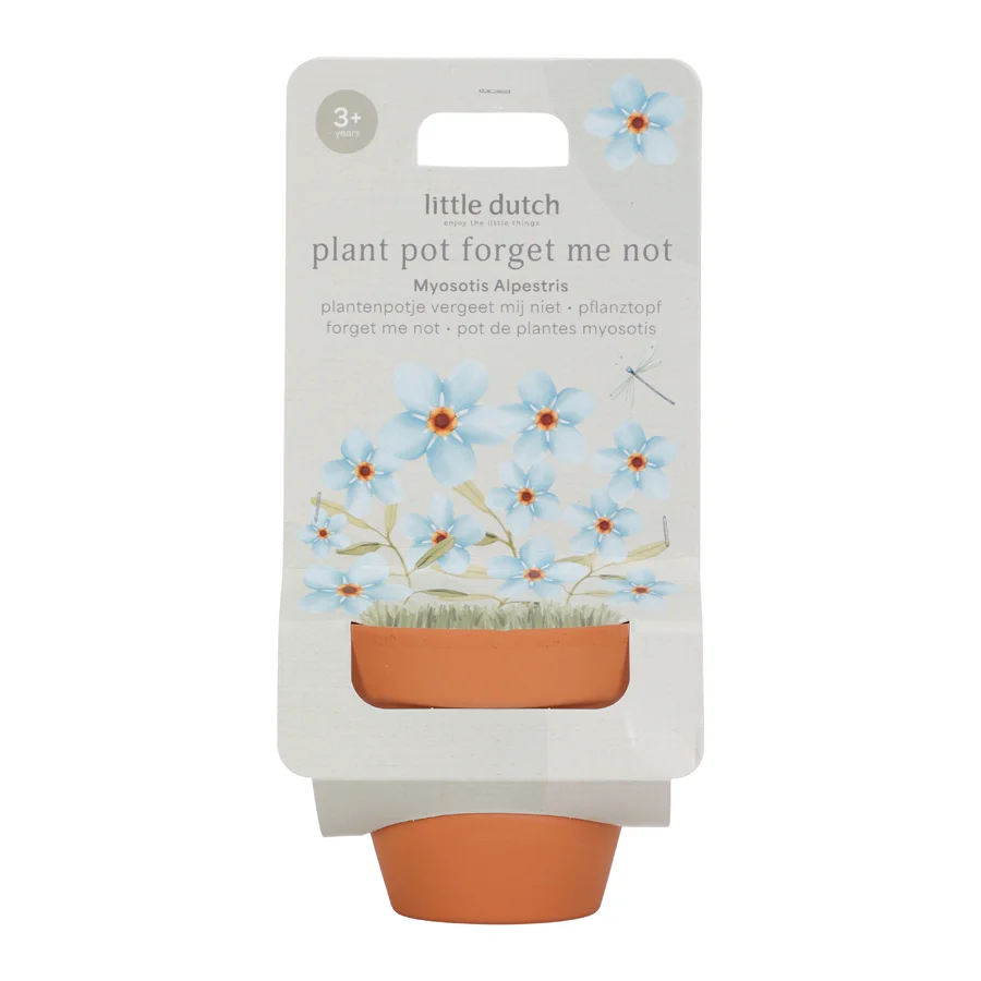 Little Dutch Potte med frø, forglem mig ej