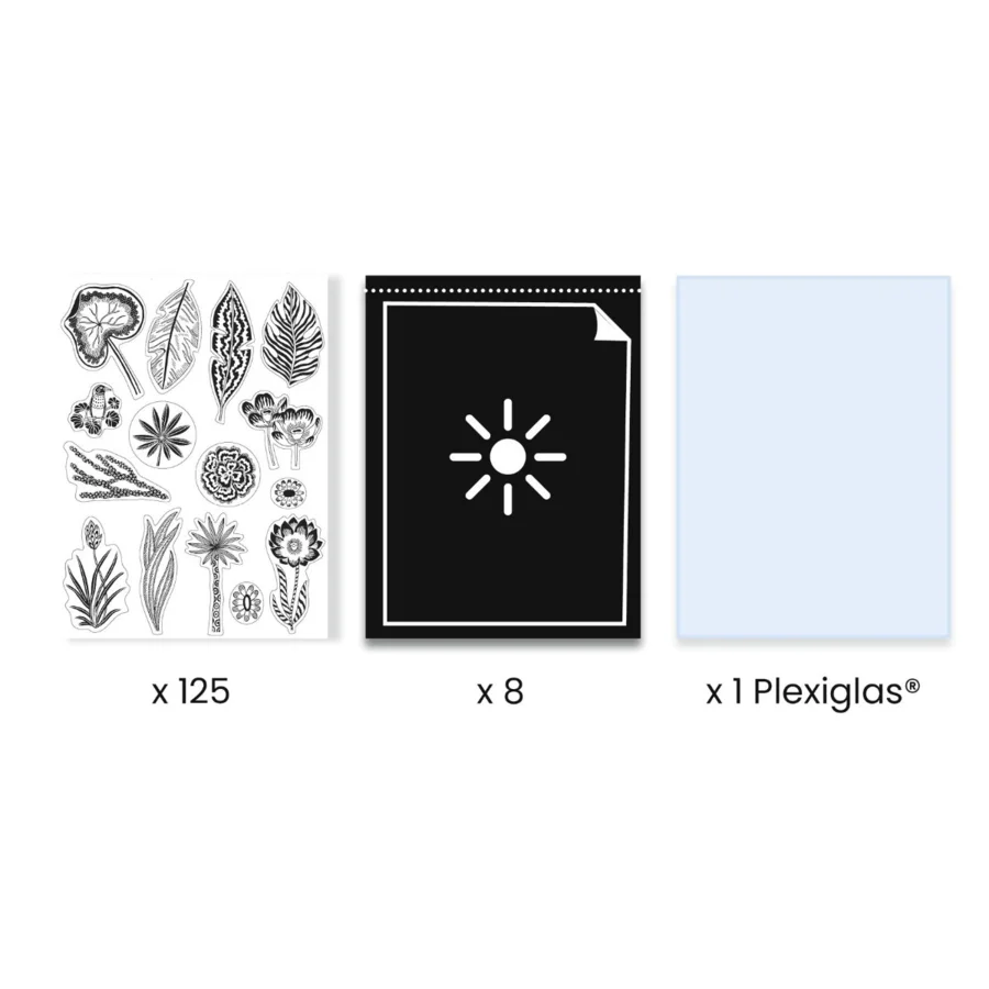 Djeco Cyanotype/lystryk, Nat på savannen