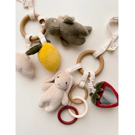 Konges Sløjd aktivitets ring, Dino