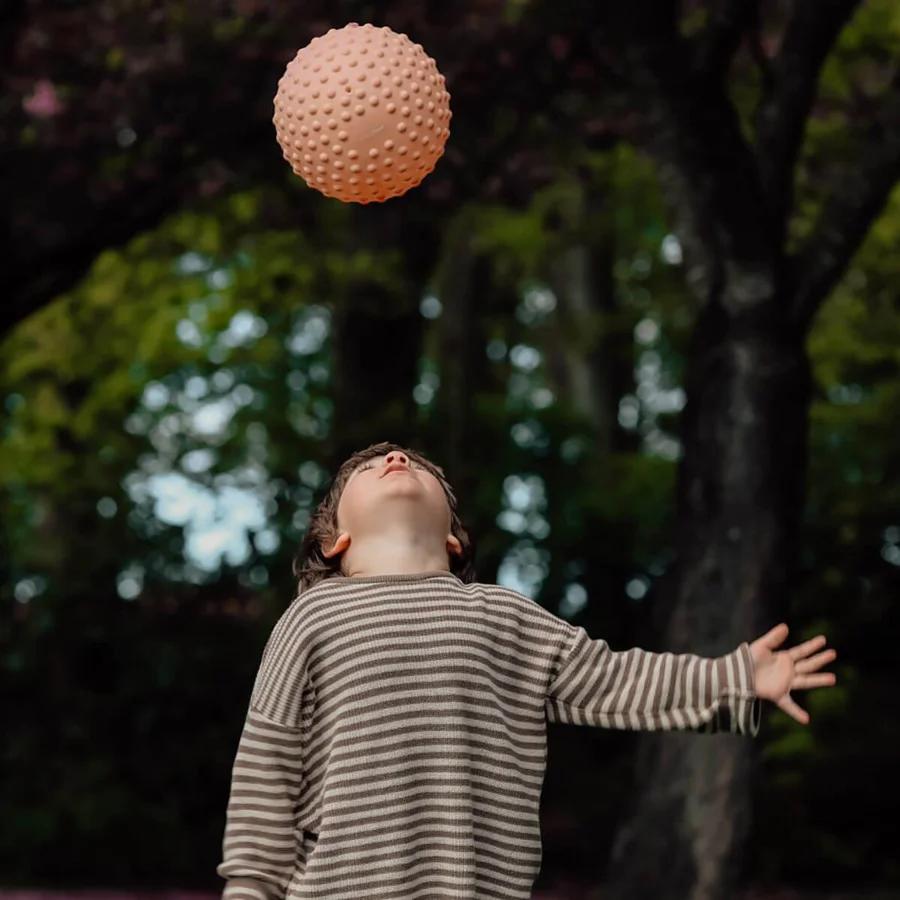Find That Hippo Großer Sensorikball, Desert Sand