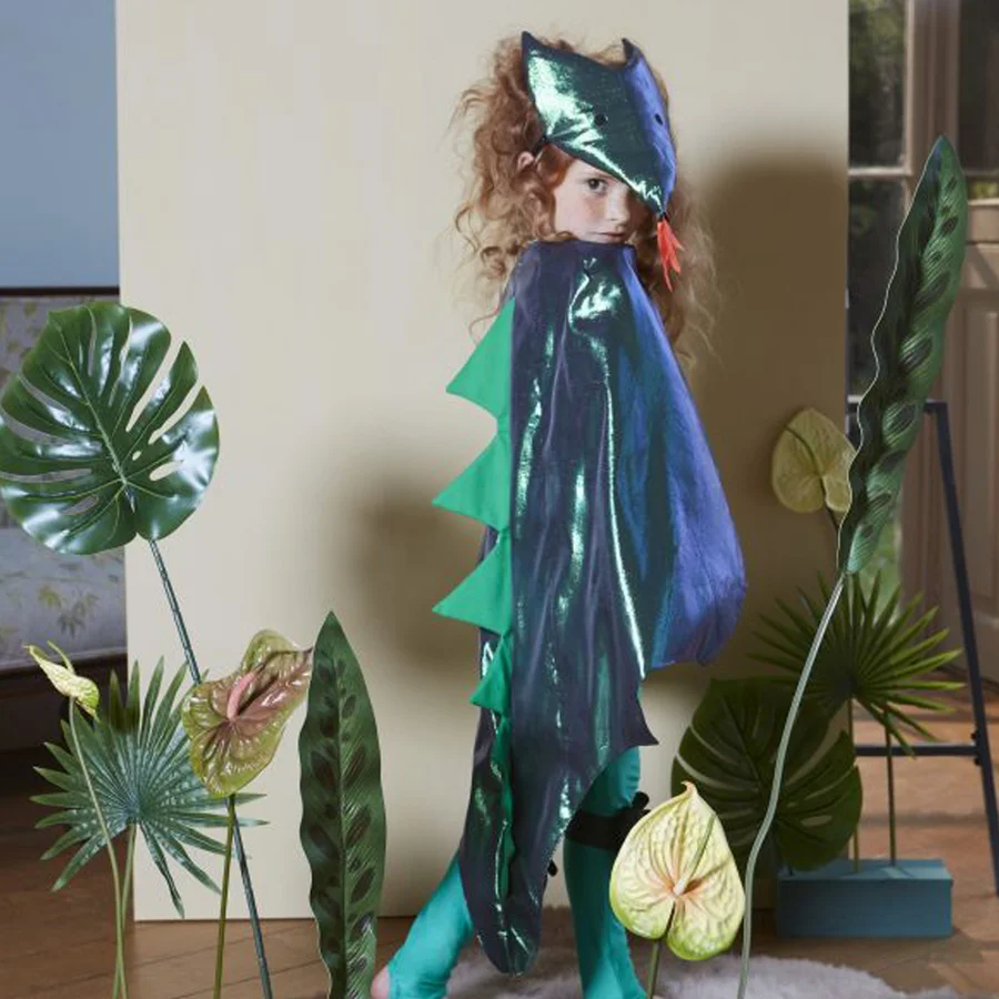 Meri Meri udklædning, drage