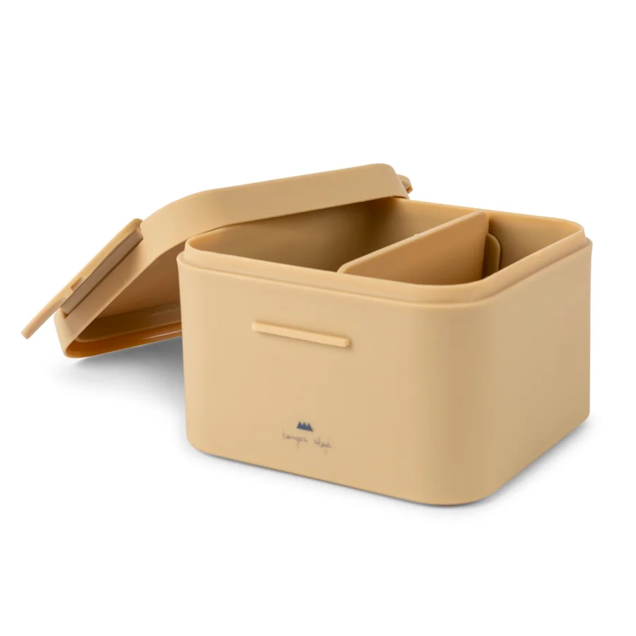 Konges Sløjd lille madkasse, Skateosaurus