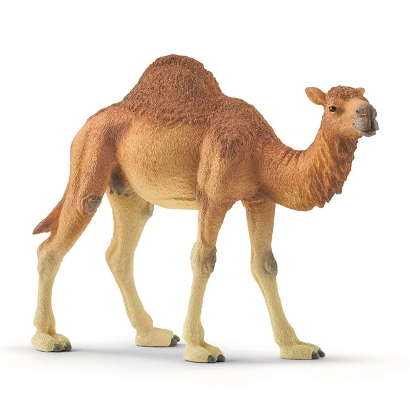 Schleich dyr, dromedar