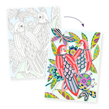 Djeco farvelæg, galleri fugle