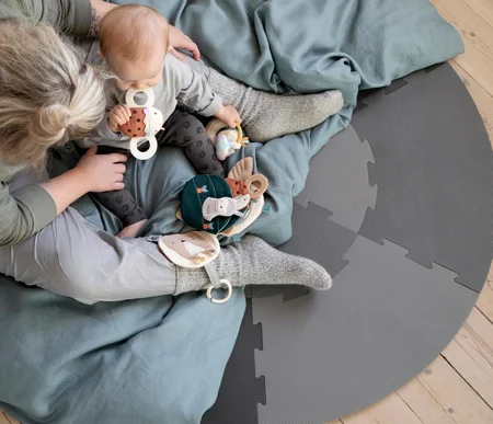 Sebra aktivitetsrangle med spejl, Mariehønen Luca