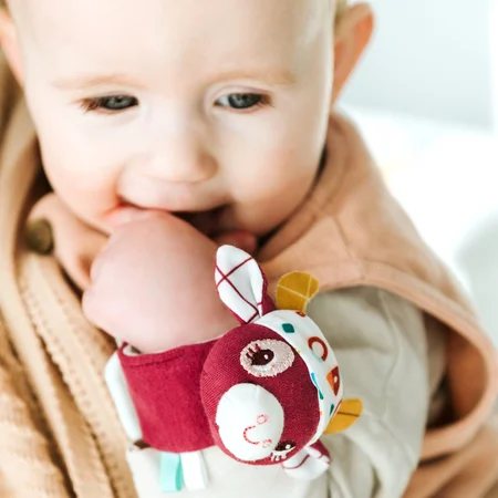 Lilliputiens håndledsrangle, Rosalie