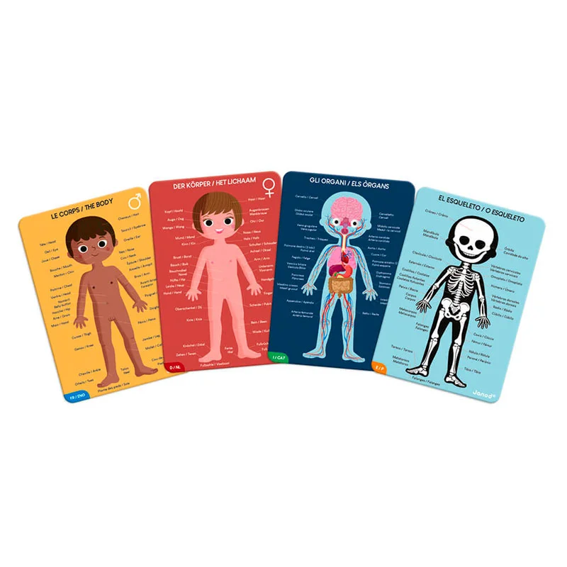 Janod puslespil, menneskekroppen