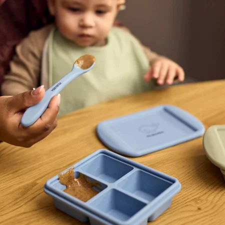 Filibabba 2er-Pack Gefrierbehälter für Babynahrung, Ocean Mix