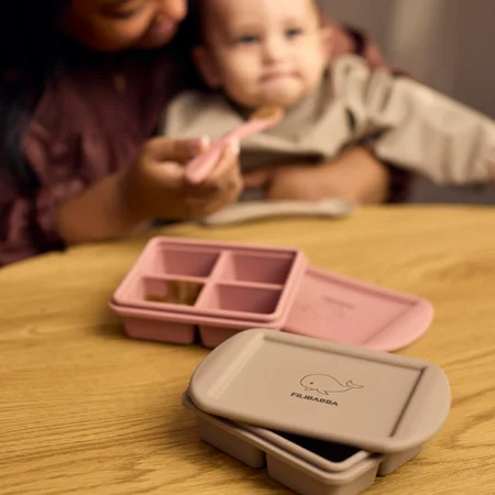 Filibabba 2er-Pack Gefrierbehälter für Babynahrung, Rose Mix