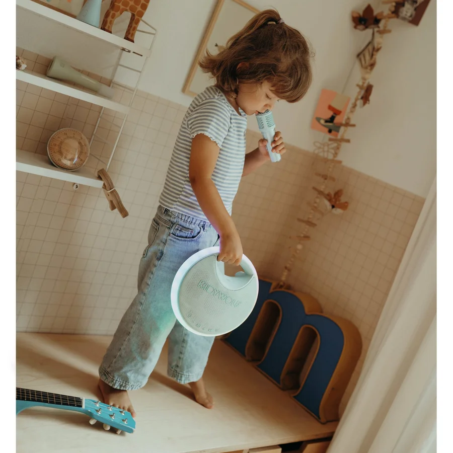 Kidywolf Karaoke Lautsprecher mit 2 kabellosen Mikrofonen