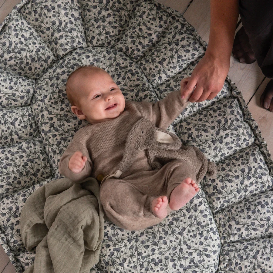 Sebra 3-in-1 Babynest, blue olive