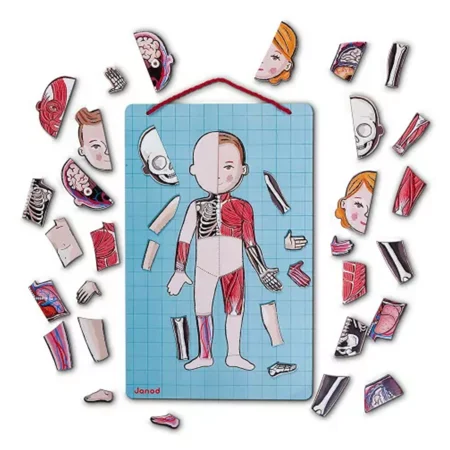 Janod Magnetspiel Körper