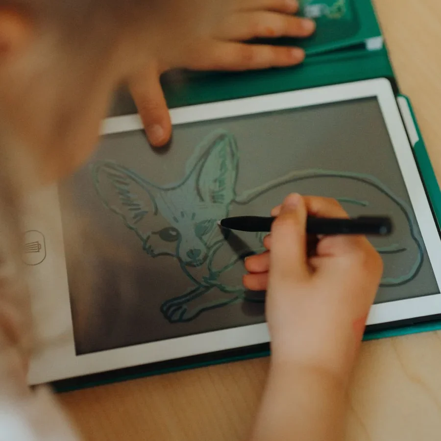 Kidydraw Mini-Skizzenbuch mit LCD-Bildschirm, Animal Around the World