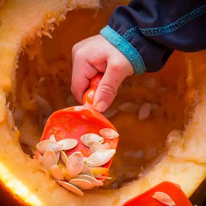 CC Hobby Kürbisschnitzset